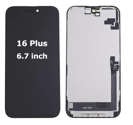 Màn 16Plus Zin