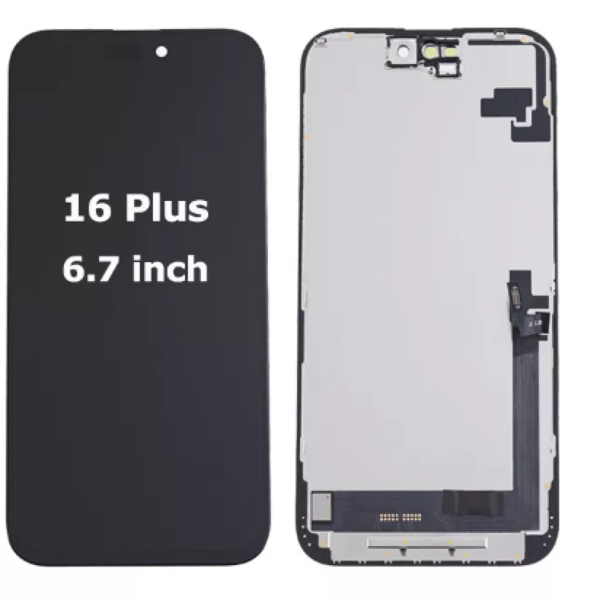 Màn 16Plus Zin