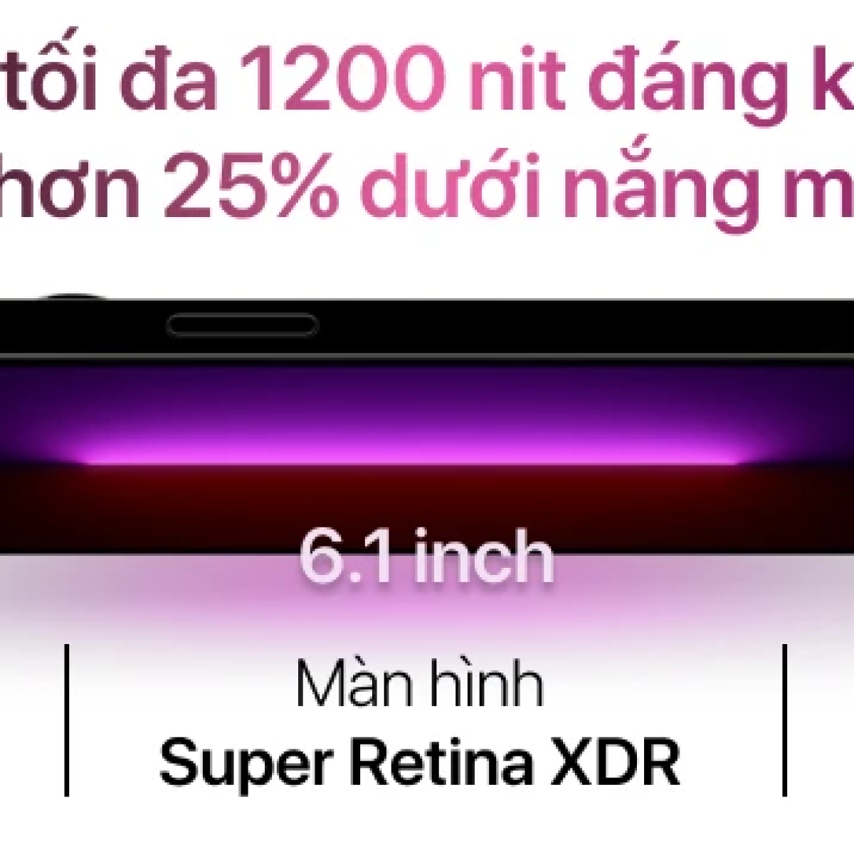 13 Pro 256GB Xanh